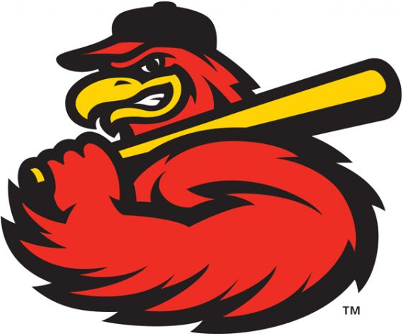 Rochester Red Wings 2014-Pres Alternate Logo iron on transfers for T-shirts